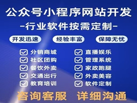 可克达拉网站开发